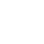 Home authenticity 13339805 new